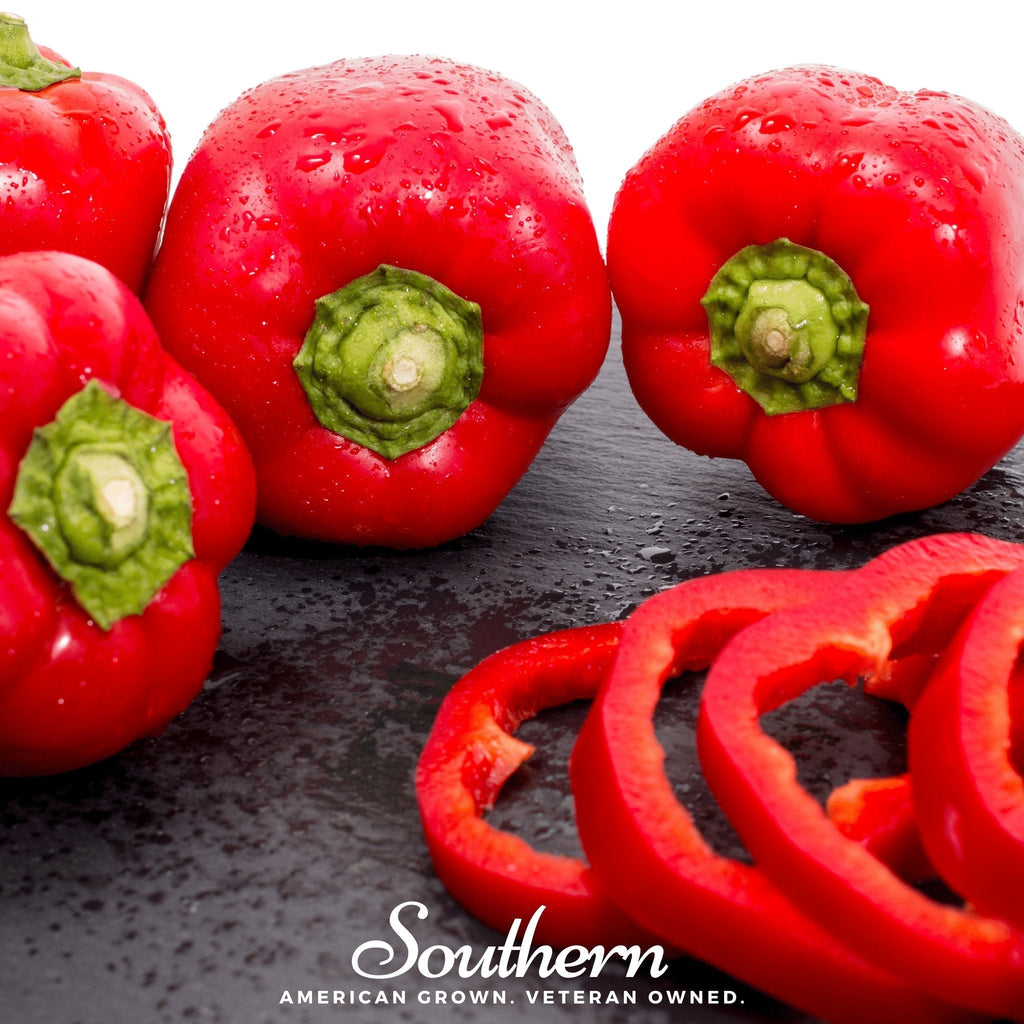 Big Red Sweet Bell Pepper – 30 Seeds