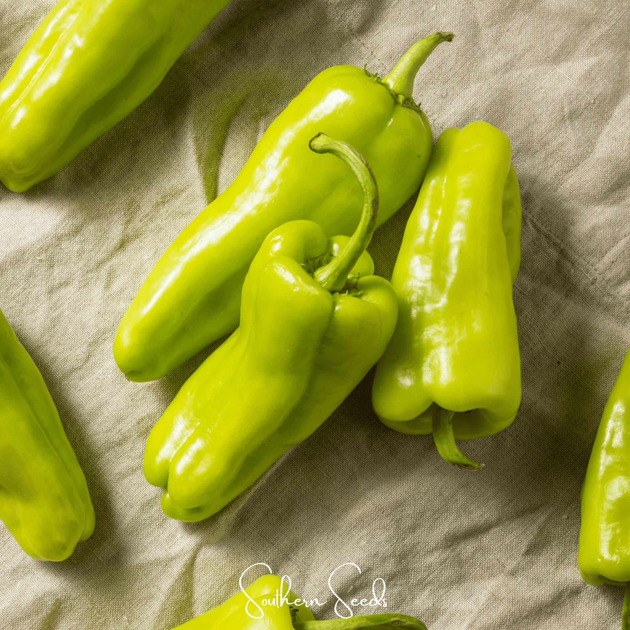 Cubanelle Sweet Pepper – 25 Seeds