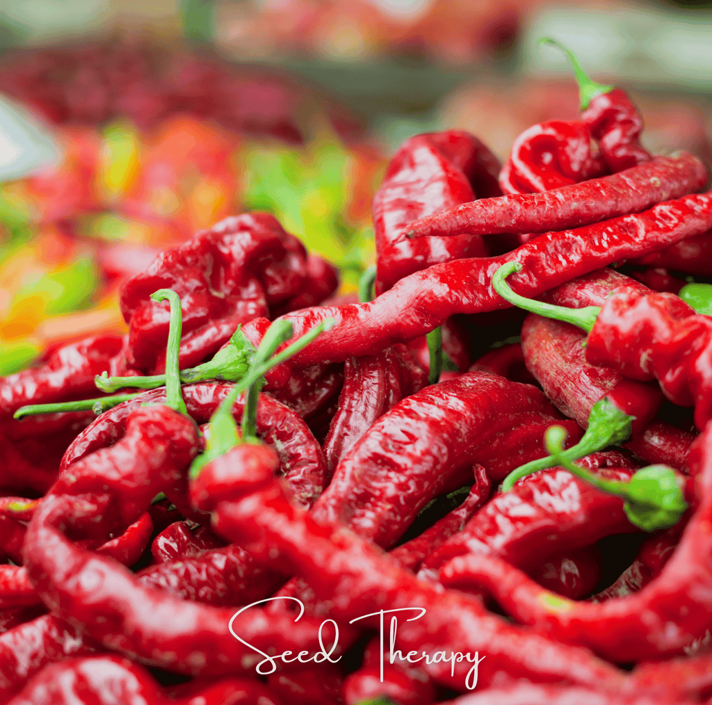 Jimmy Nardello's Pepper – 25 Seeds