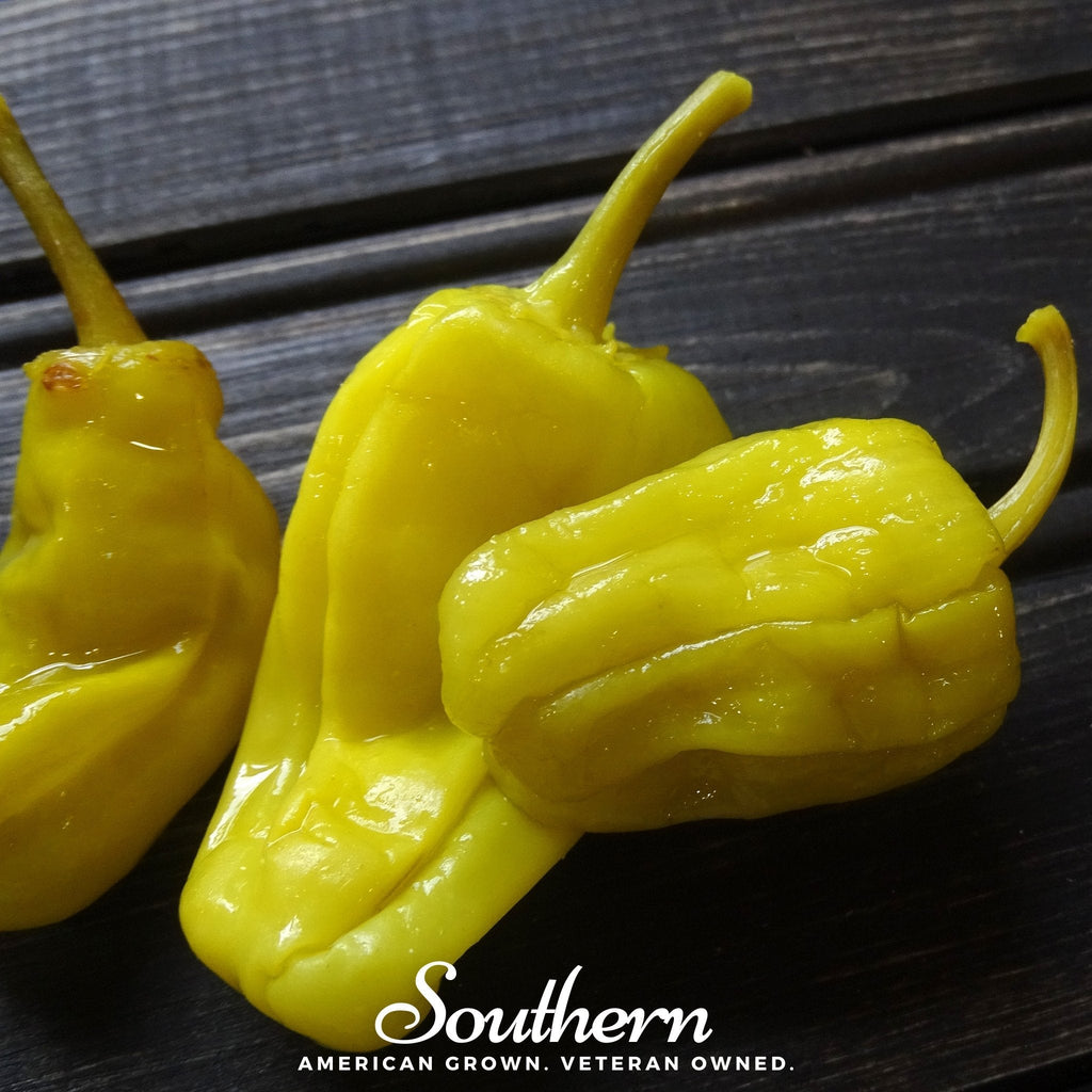 Pepperoncini Pepper – 25 Seeds