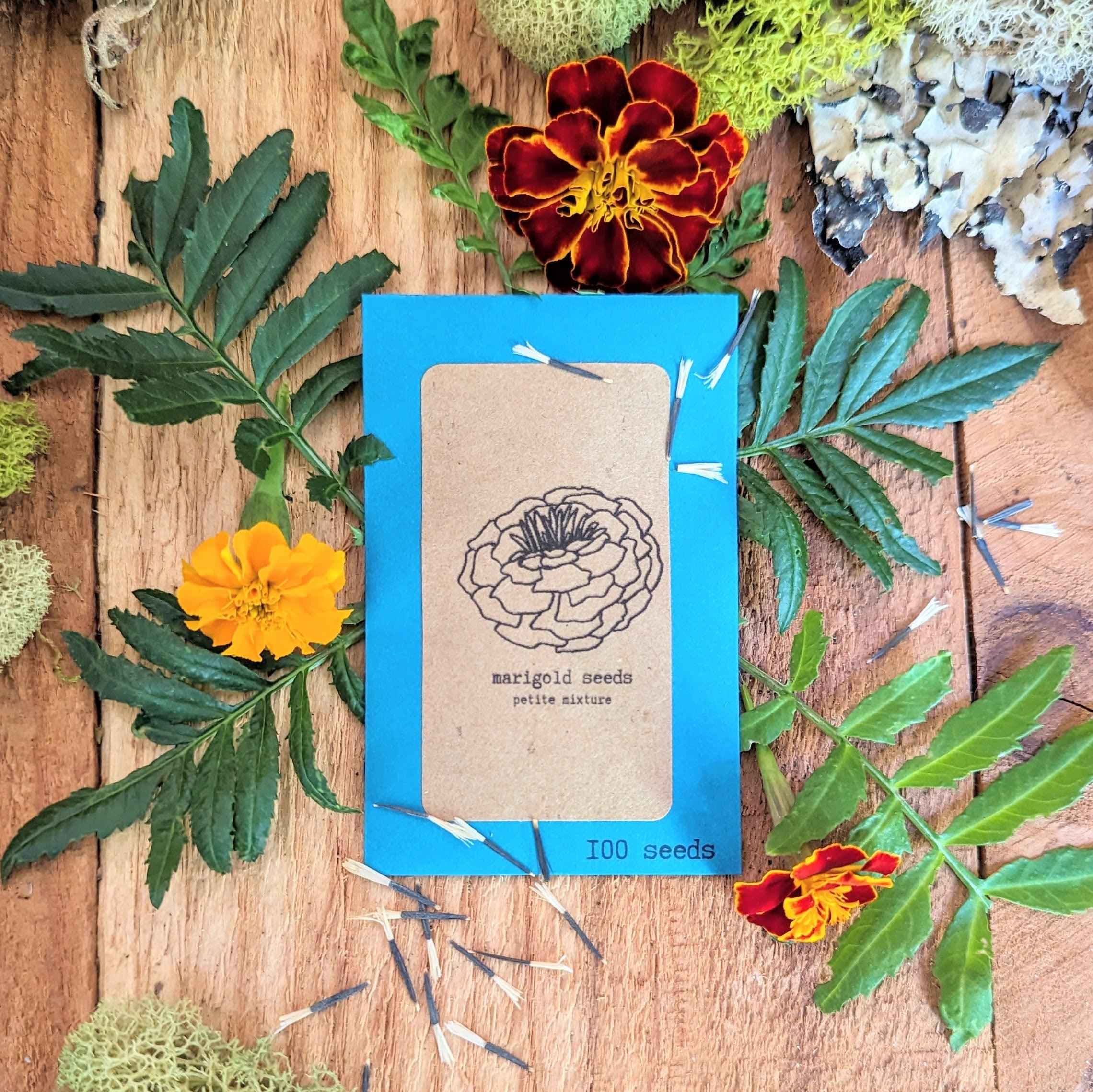 Petite Marigold Seeds