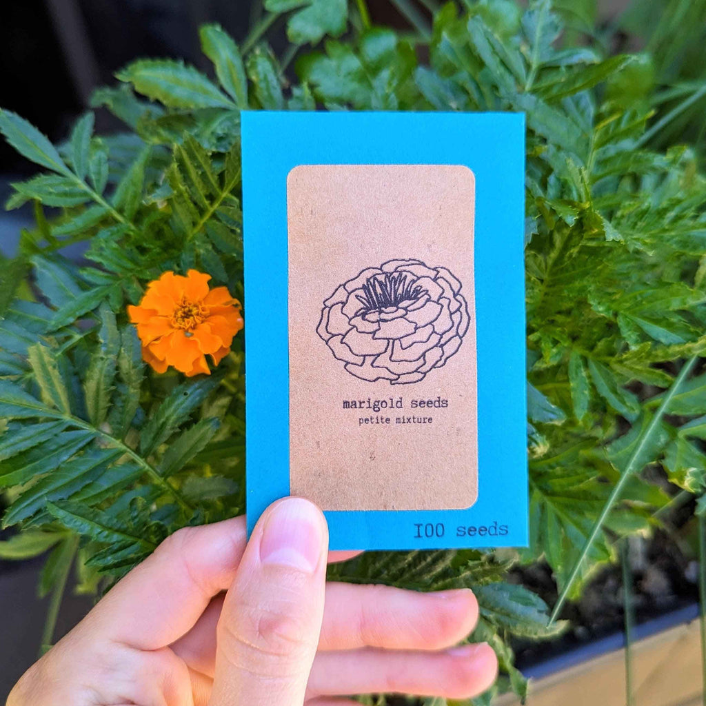 Petite Marigold Seeds