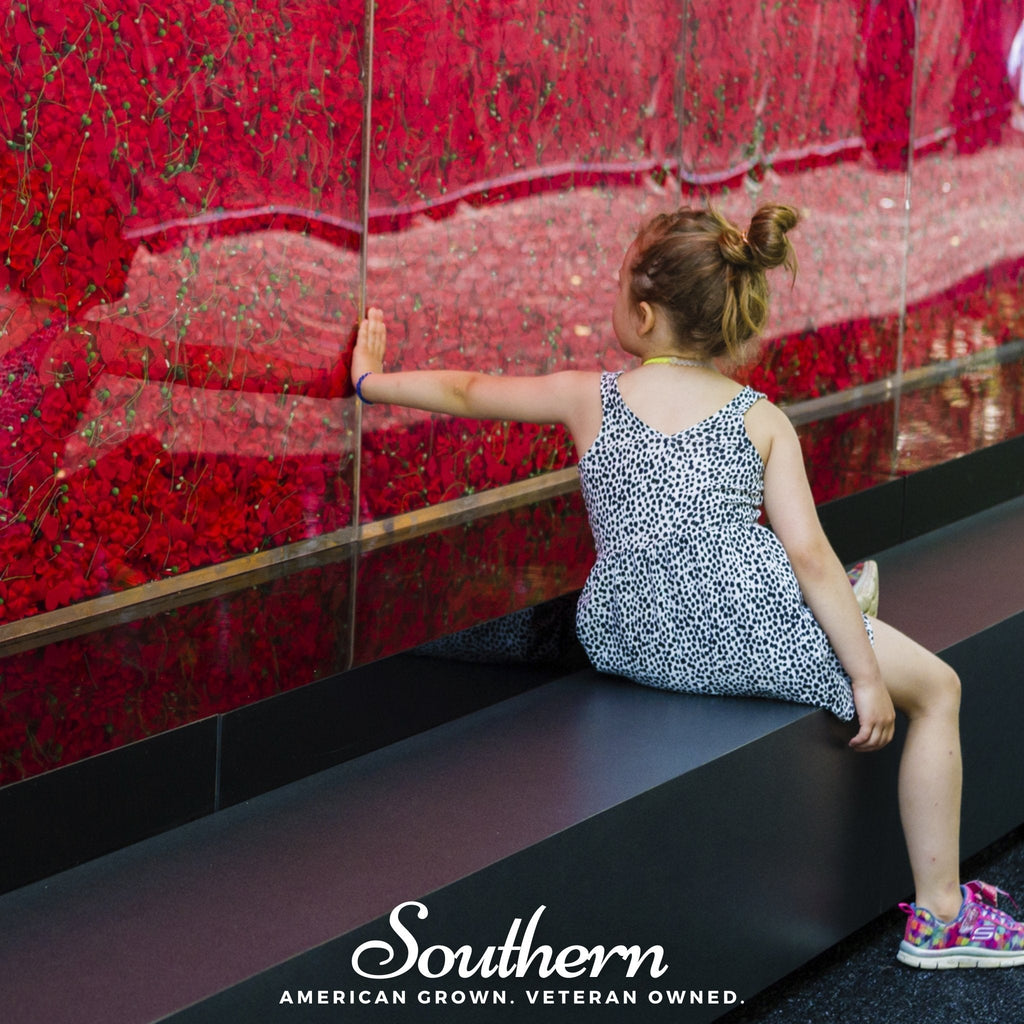 Red Poppy – 100 Seeds