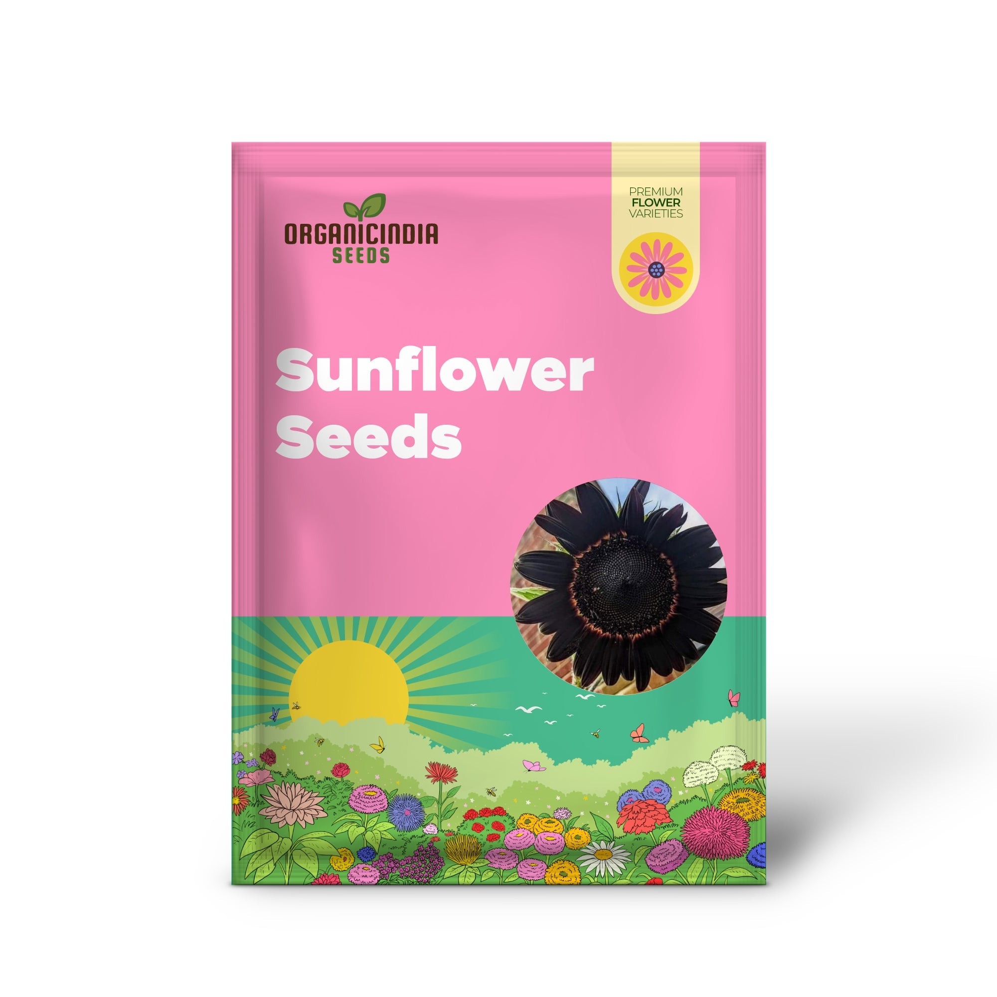 Fresh Deep Black Sunflower Seeds for Garden Planting