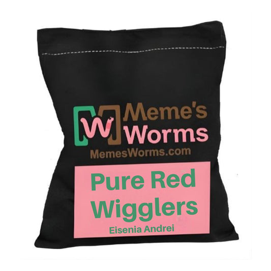 Red Wiggler Composting Worms For Sale - Pure (SC)