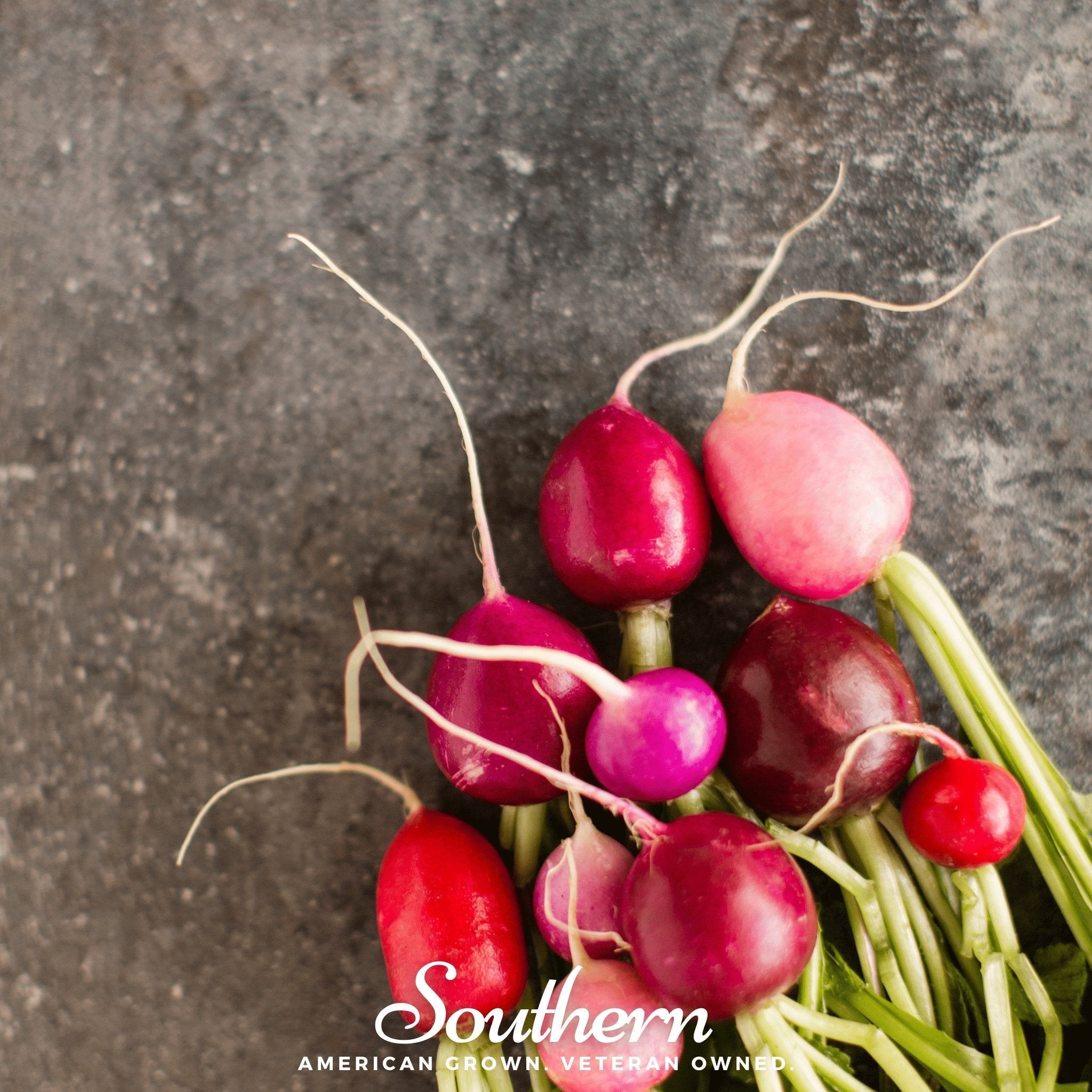 Easter Egg Radish – 250 Seeds