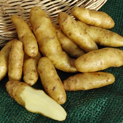 Banana fingerling potato