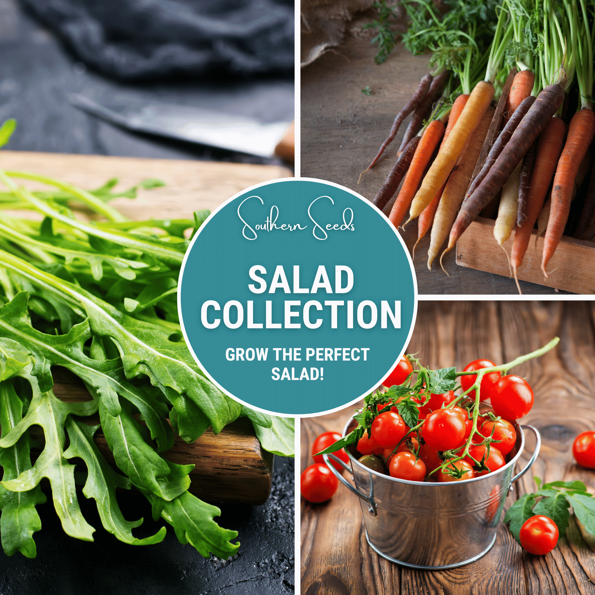 Salad Seed Collection – 6 Varieties
