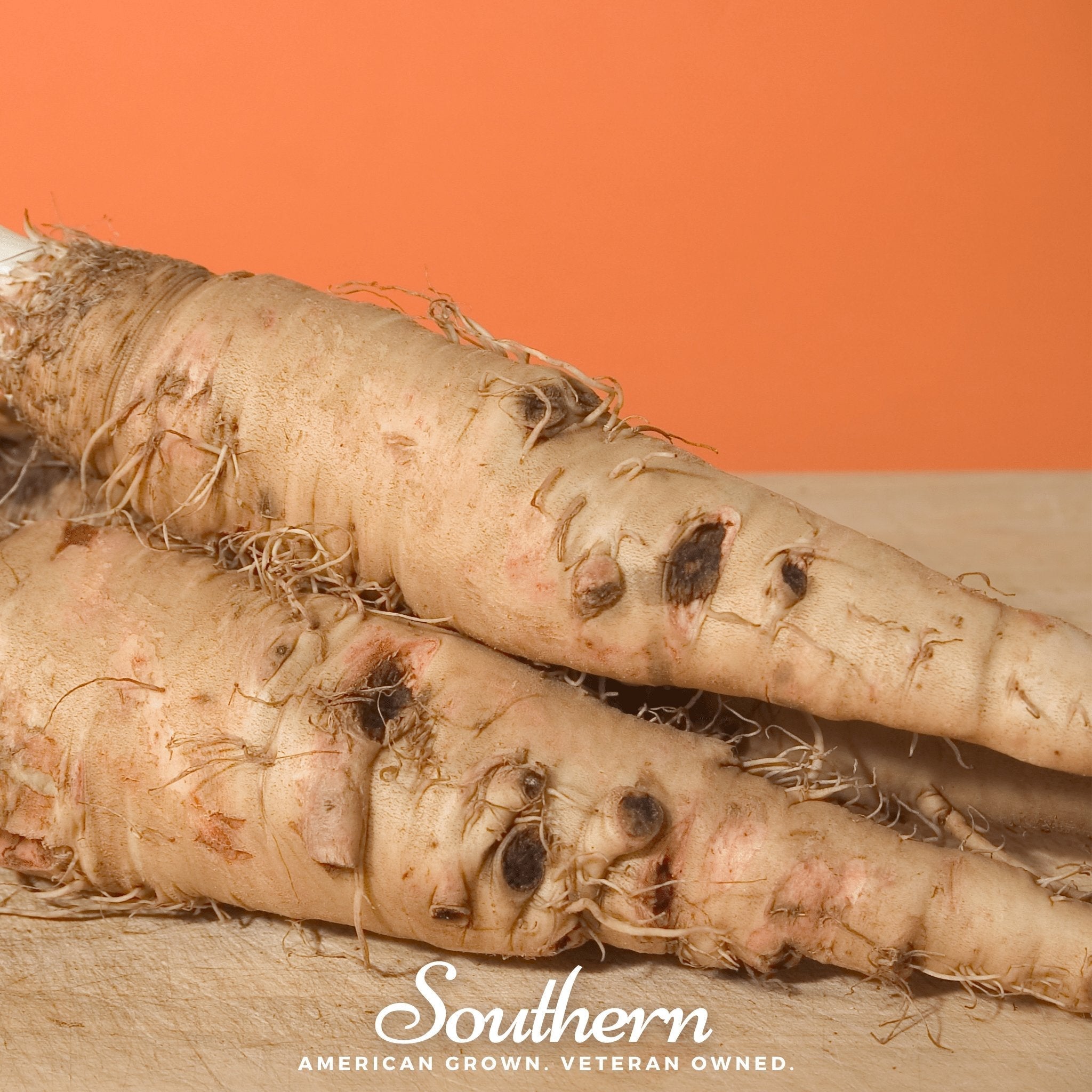 Mammoth Sandwich Island Salsify – 50 Seeds