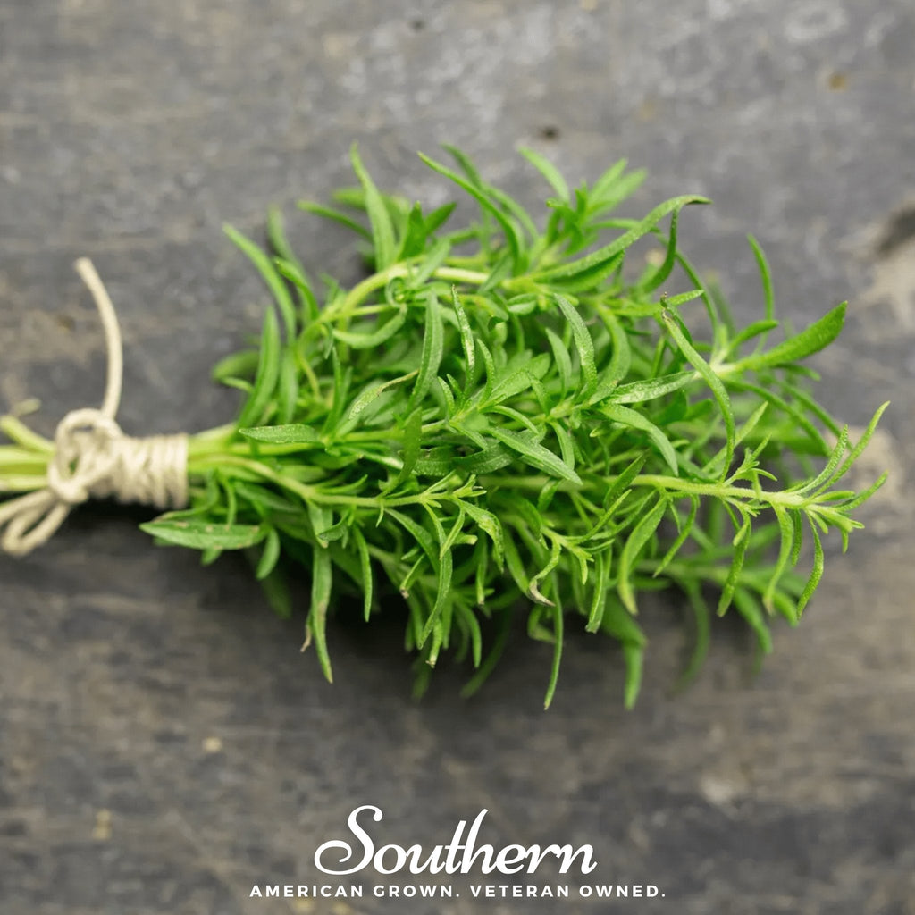 Winter Savory – 100 Seeds
