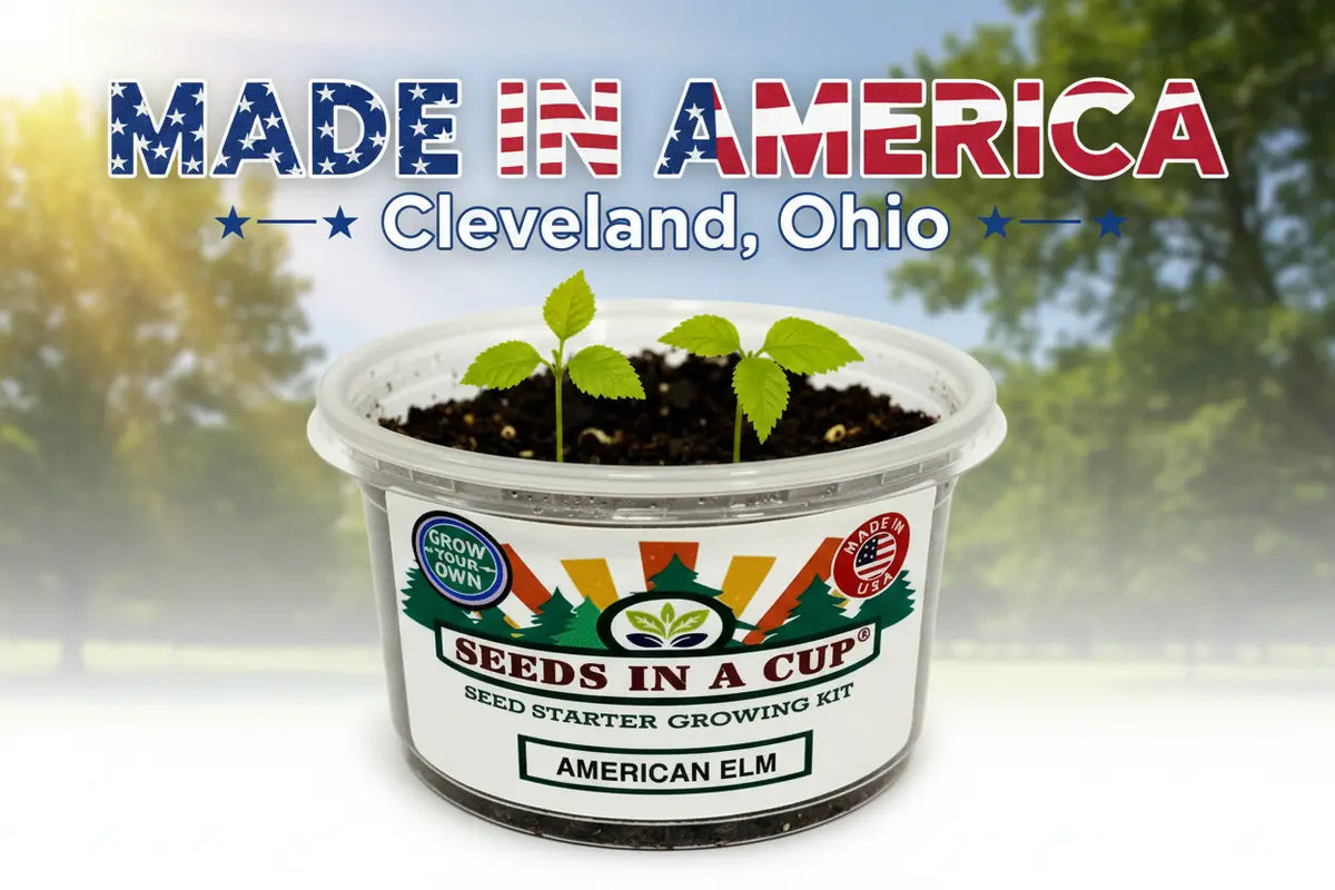 Jalapeño Growing Kit - Grow Jalapeño Peppers from Seed | Complete Starter Kit