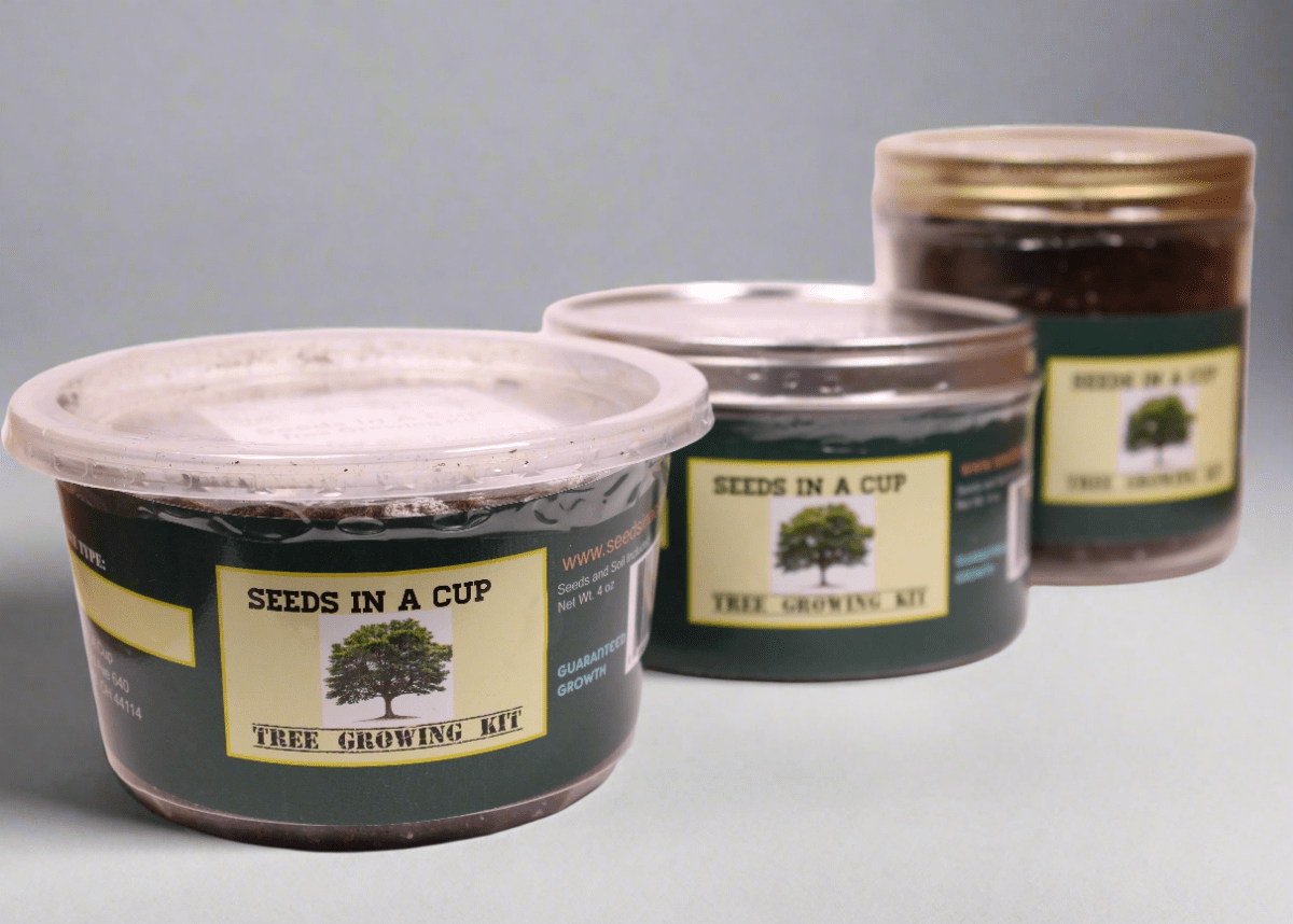 Kiwi Vine Growing Kit - Complete Vine Seed Starter Kit for Home Gardening