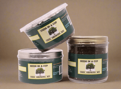 Macadamia Nut Tree Grow Kit | Seed Starter Grow Kit | Seeds In A Cup®