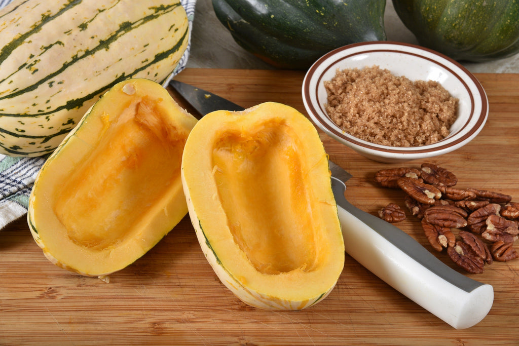 50 DELICATA SQUASH Striped Sweet Potato Cucurbita Pepo Vegetable Seeds