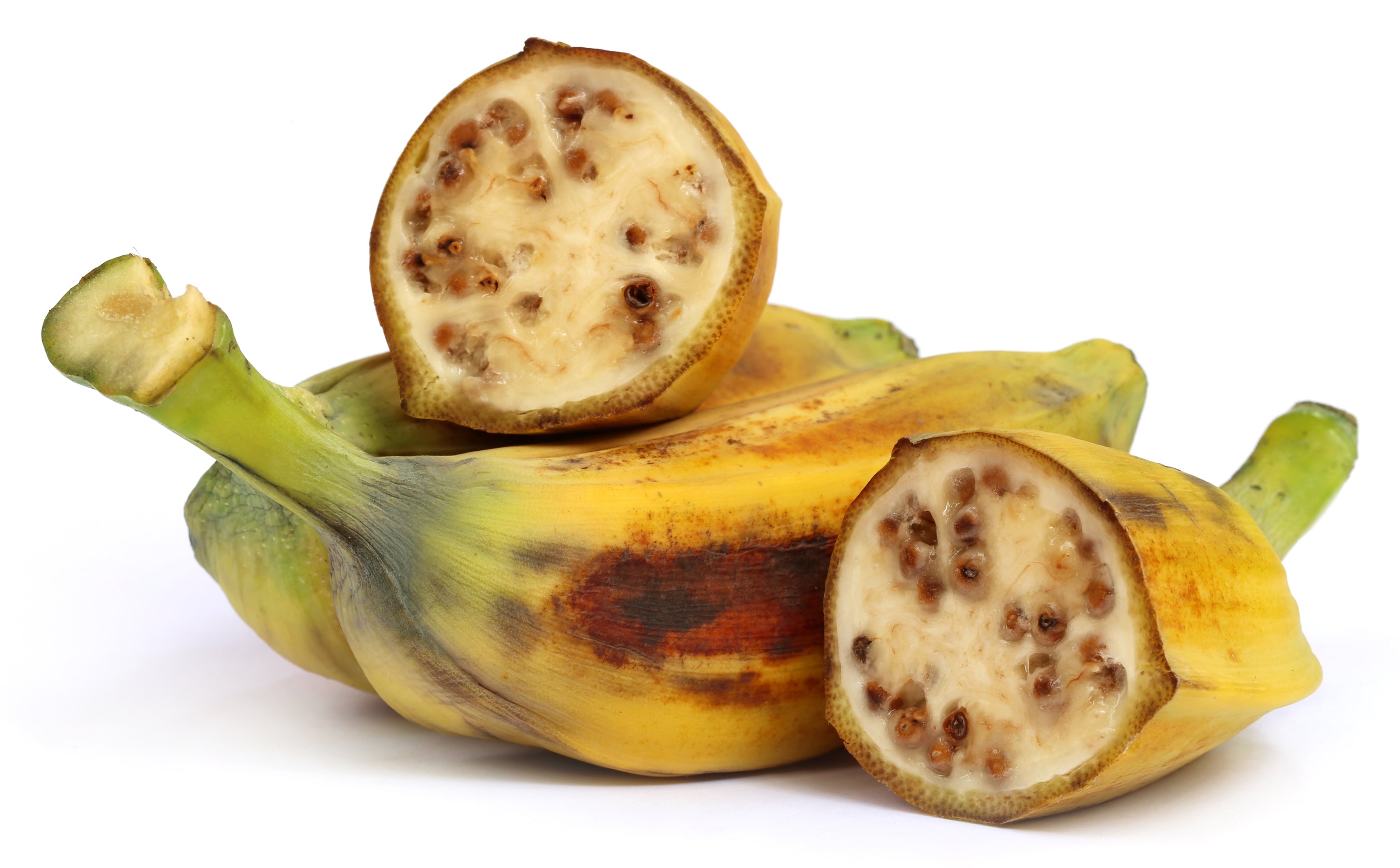 5 PLANTAIN BANANA Musa Balbisiana Hardy Red Flowering Sweet Wild Fruit Tree Seeds