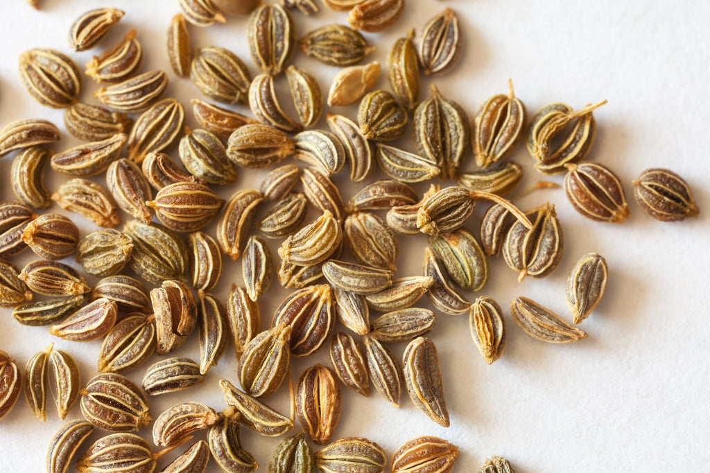 1500 FLAT LEAF PARSLEY Seeds Petroselinum Crispum Plain Single Italian Parsley Seeds