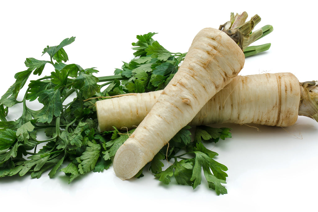 1000 HAMBURG ROOTED PARSLEY Petroselinum Crispum Tuberosum Root Vegetable Seeds