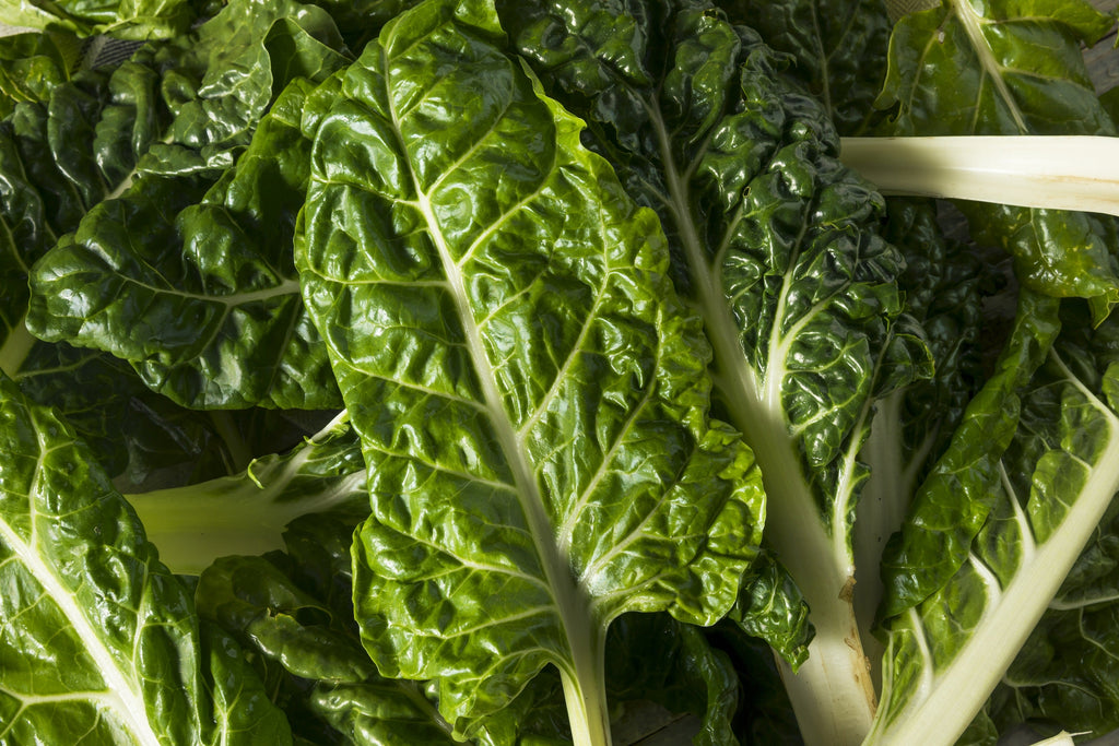 300 LUCULLUS SWISS CHARD Beta Vulgaris White Perpetual Spinach Vegetable Seeds