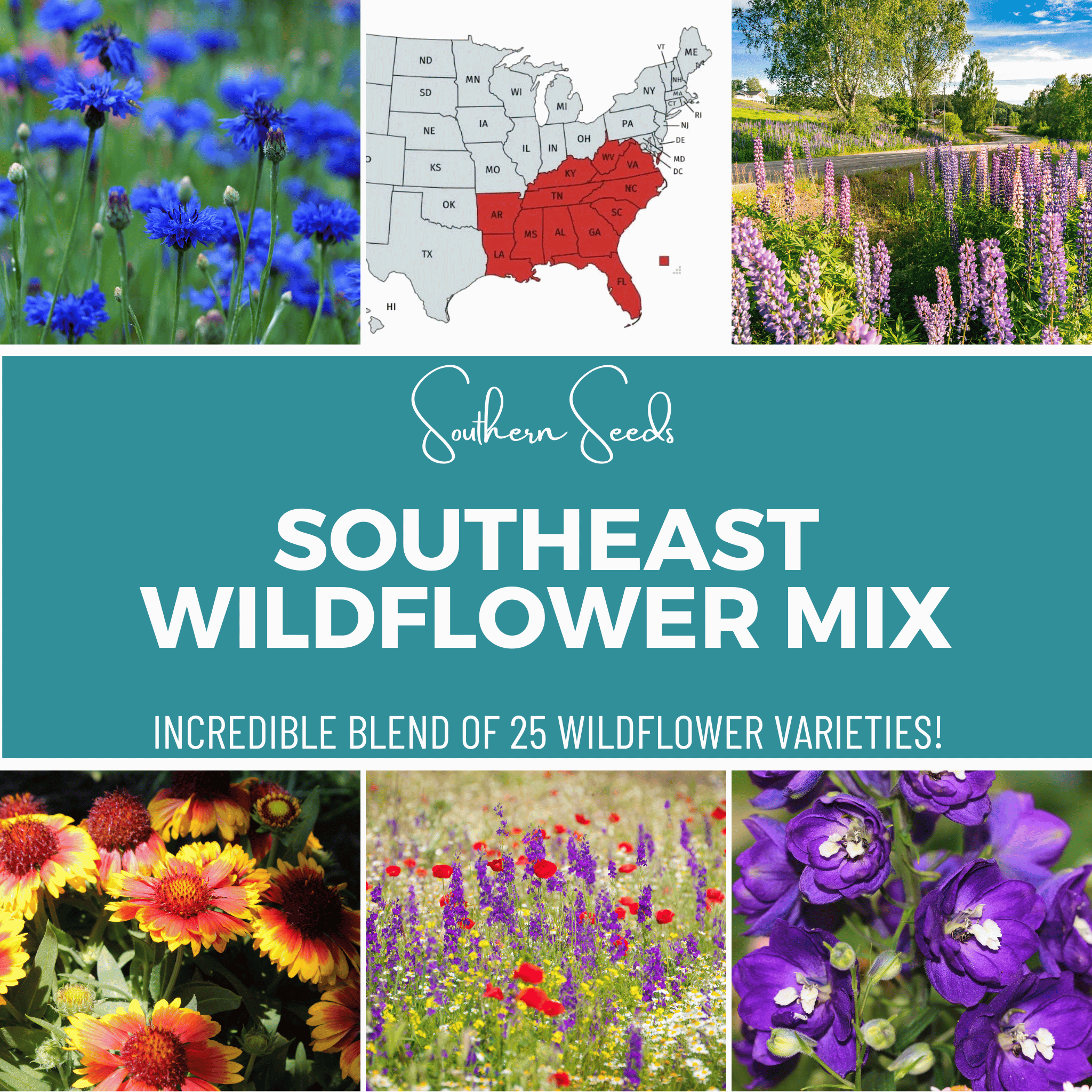 Southeast Wildflower Seed Mix (24 Varieties) – 1,000 Seeds