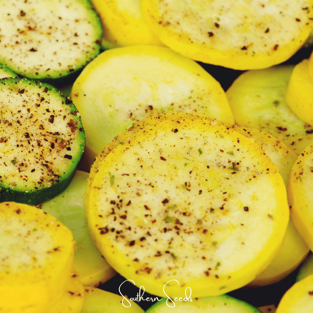 Early Prolific Straightneck Squash – 50 Seeds