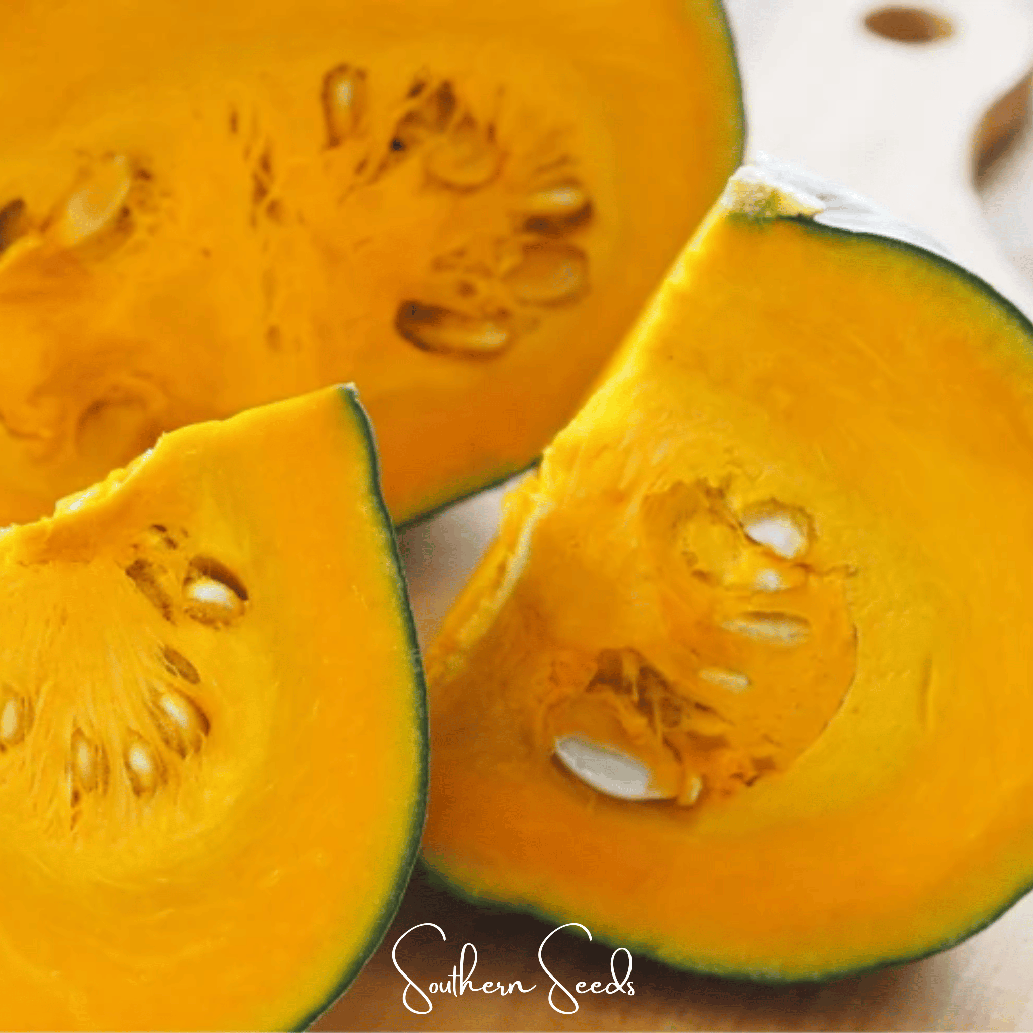 Black Forest Kabocha Squash – 10 Seeds