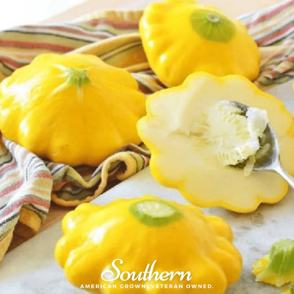 Scallop Yellow Bush Summer Squash – 25 Seeds