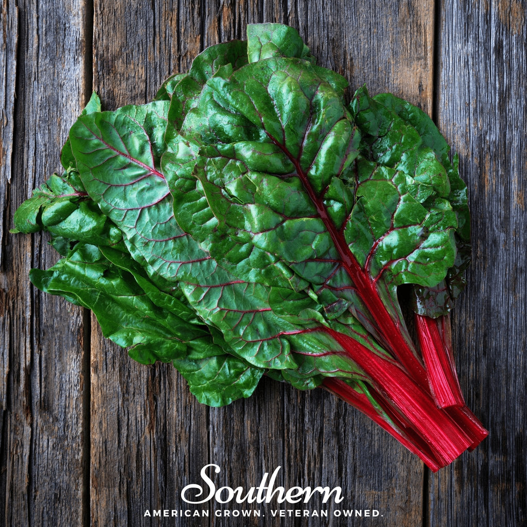 Ruby Red Swiss Chard – 100 Seeds