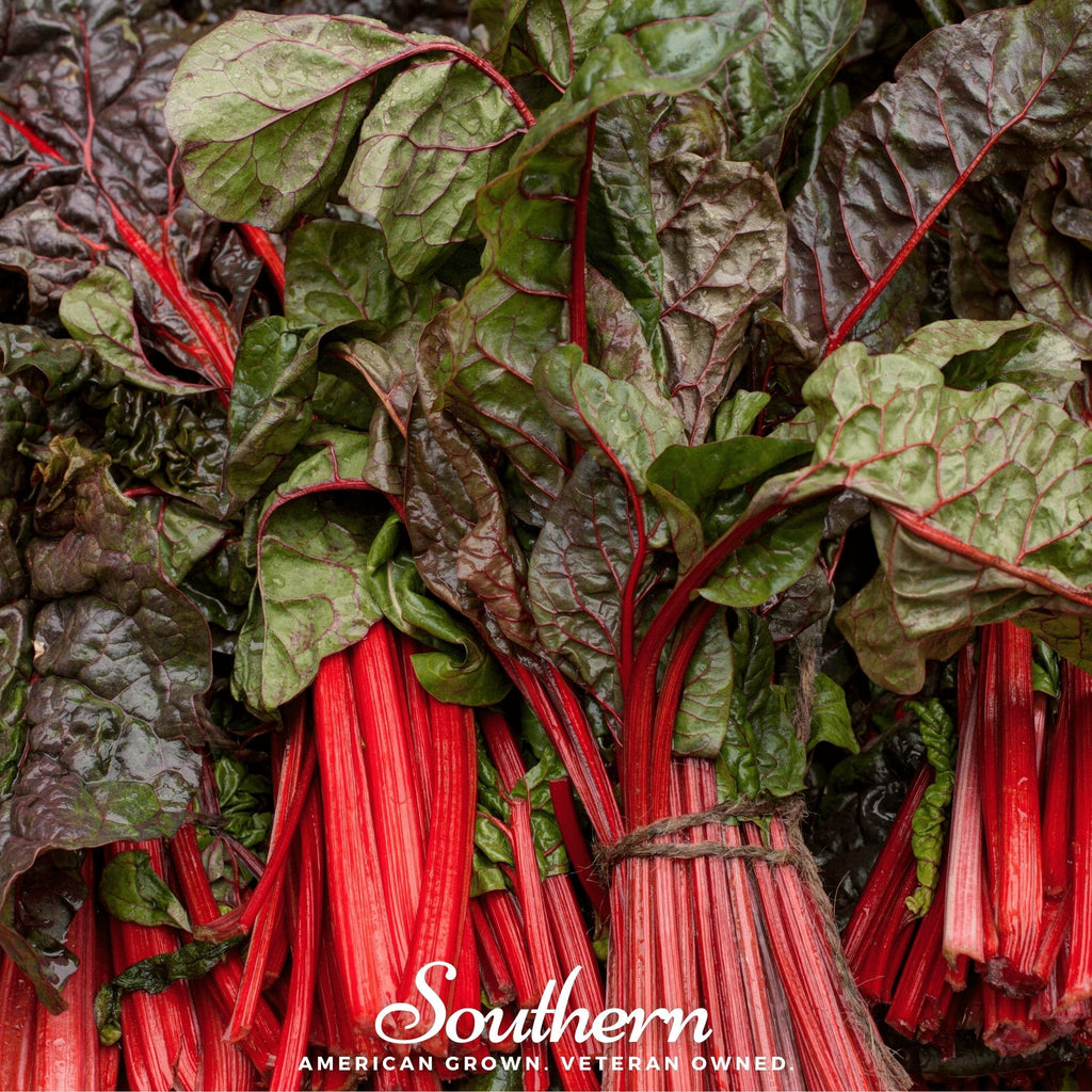 Ruby Red Swiss Chard – 100 Seeds