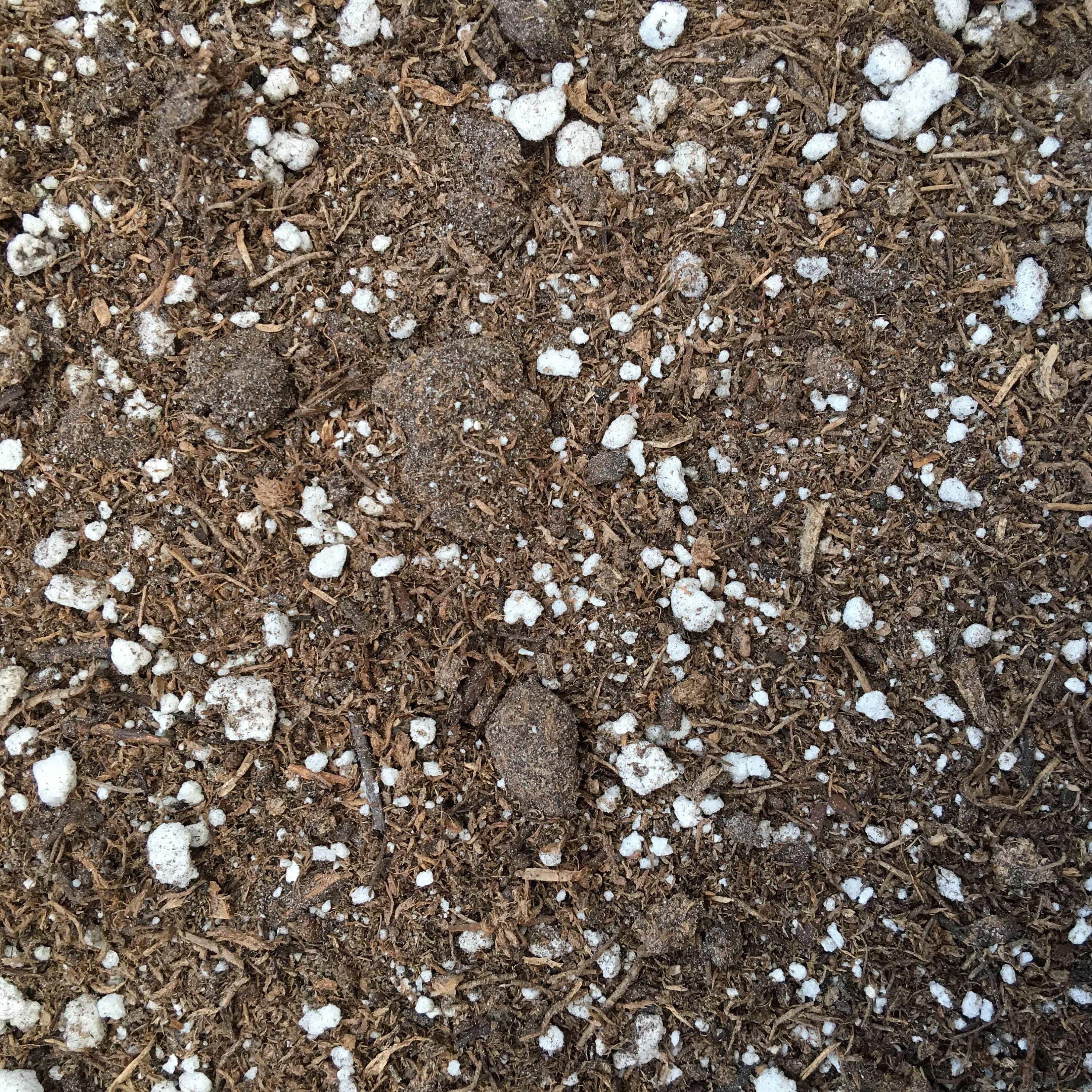 6" Starter Kit (Plugs)