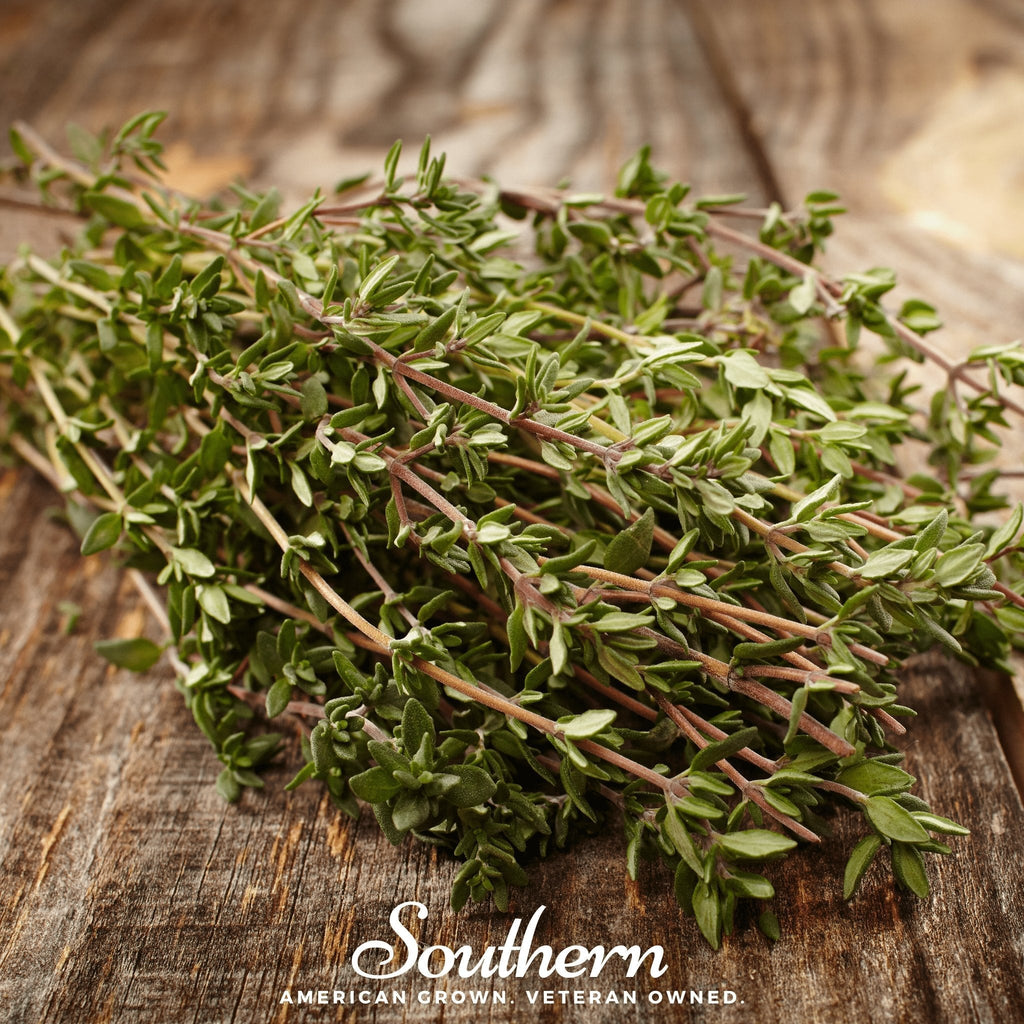 Common Thyme – 250 Seeds