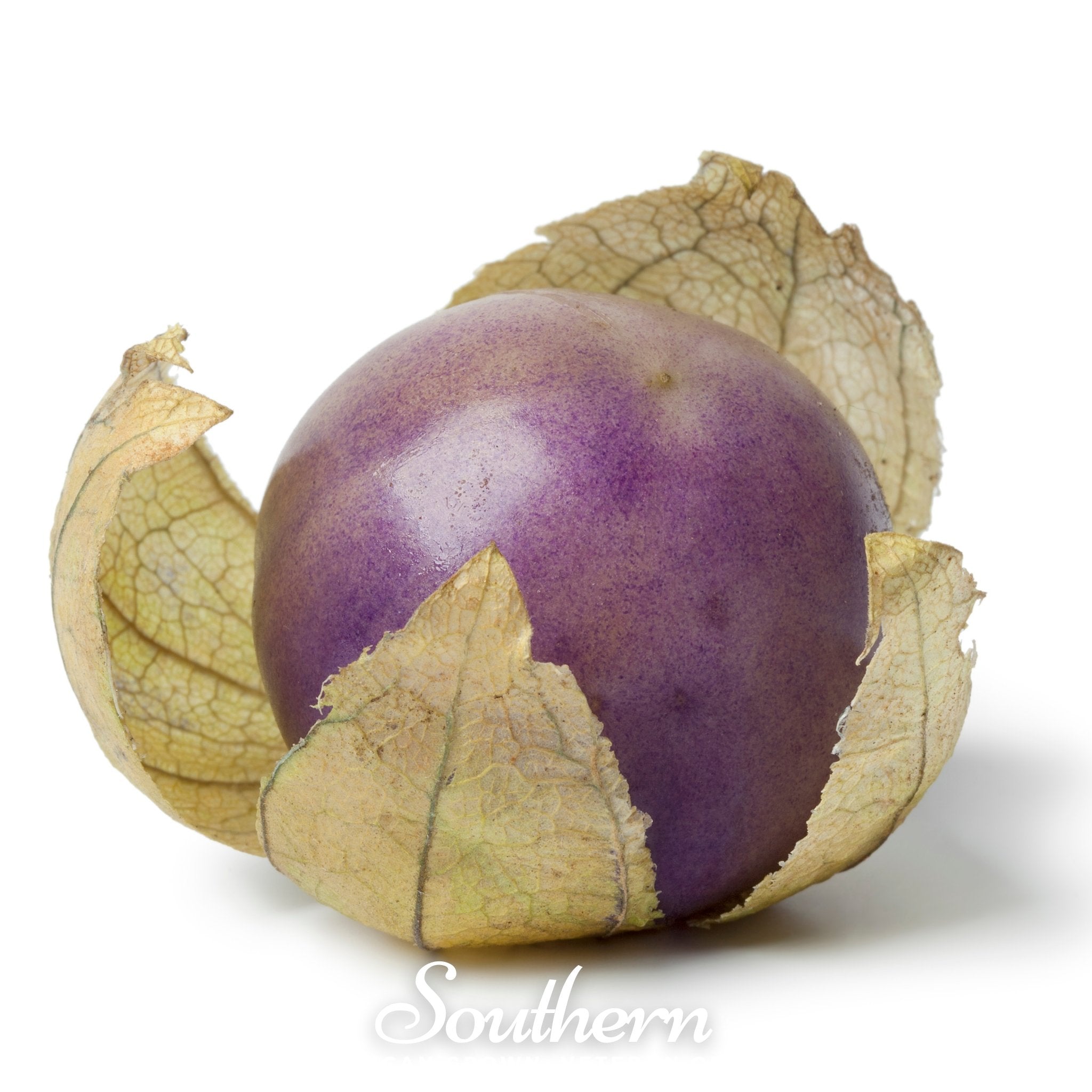 Purple Tomatillo – 30 Seeds