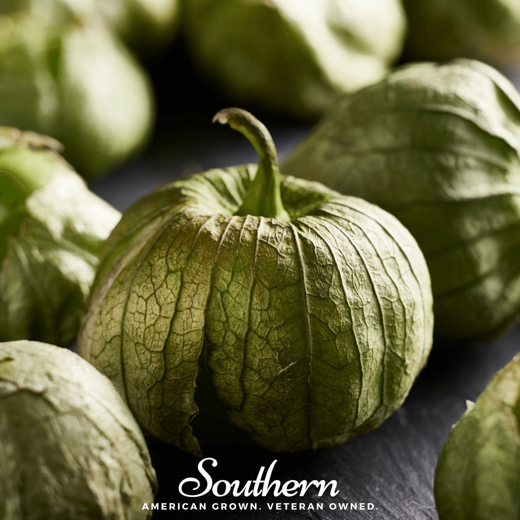 Verde Rio Grande Tomatillo – 50 Seeds
