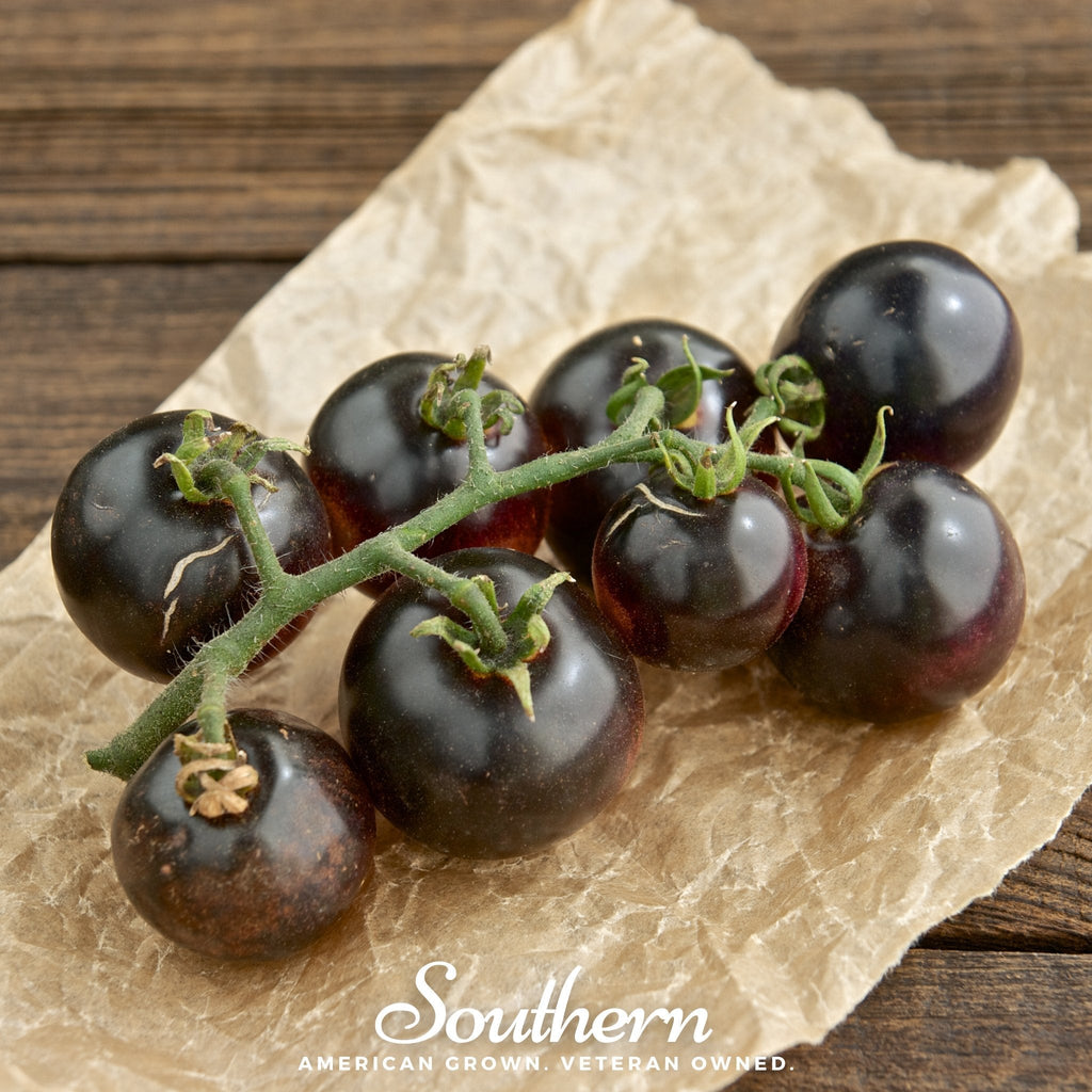 Black Cherry Tomato – 20 Seeds