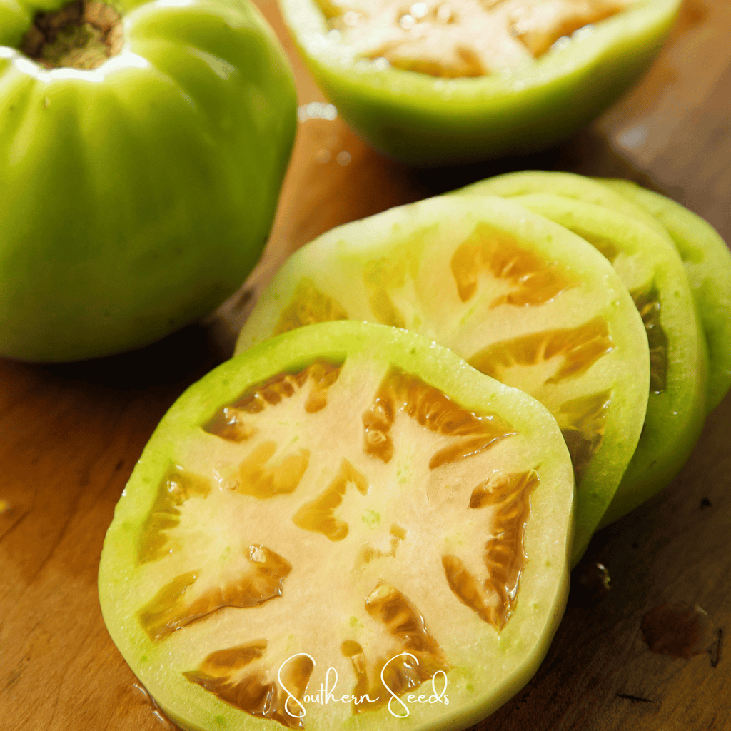 Evergreen Tomato – 50 Seeds