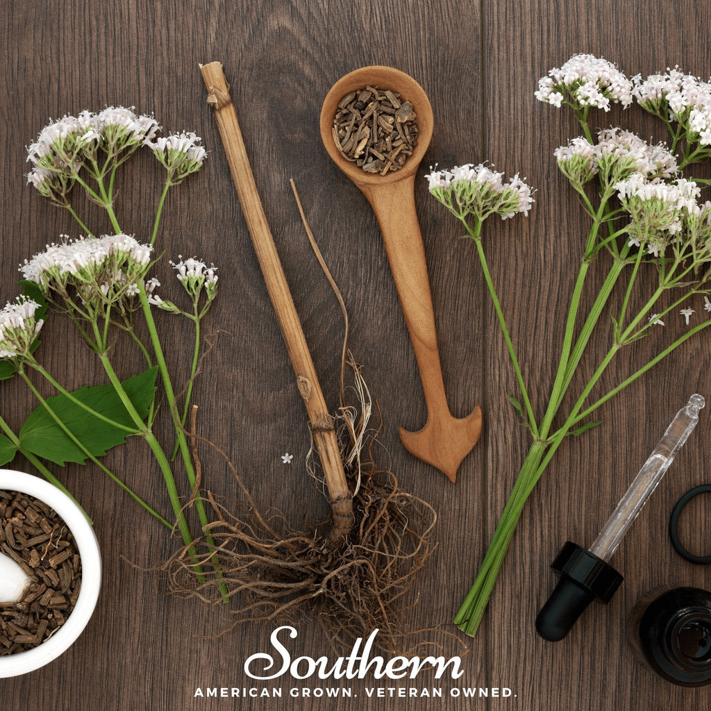 Valerian – 100 Seeds