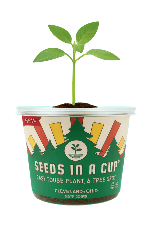 Cantaloupe Growing Kit - Vegetable Seed Starter Kit
