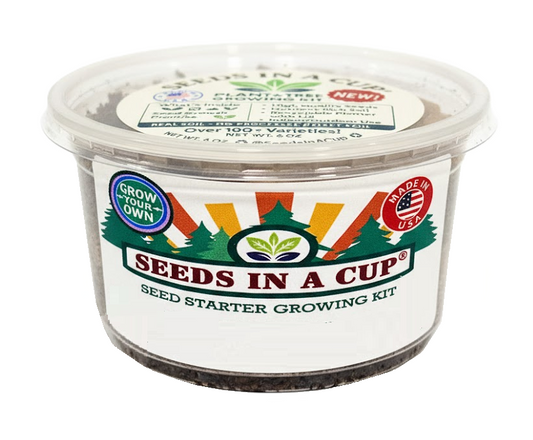 Kiwi Vine Growing Kit - Complete Vine Seed Starter Kit for Home Gardening