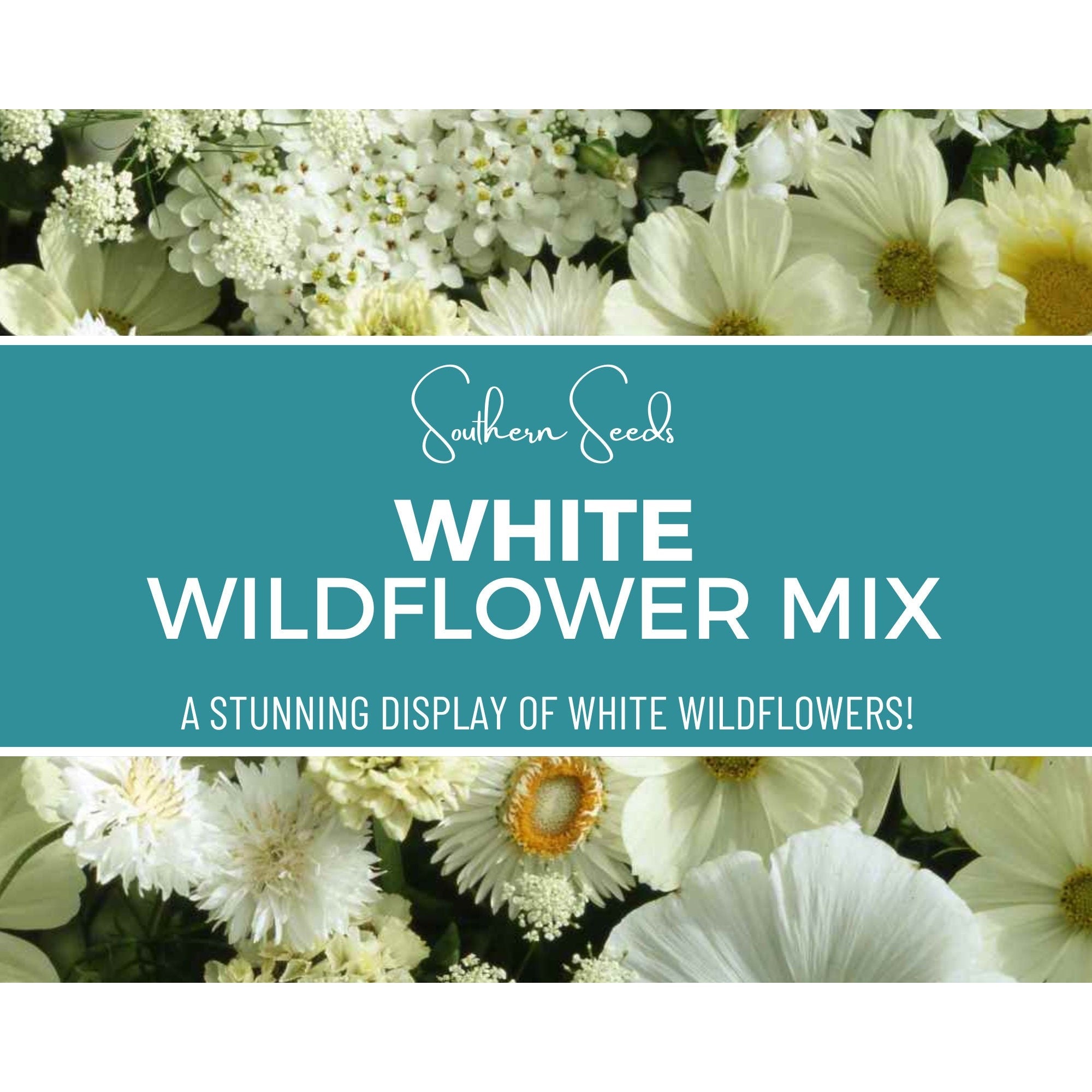 White Wildflower Seed Mix – 100 Seeds