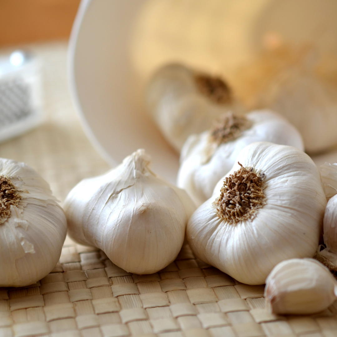 Heirloom Hardneck Organic Garlic