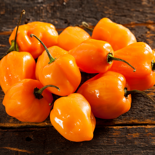 Organic Orange Habanero Seeds