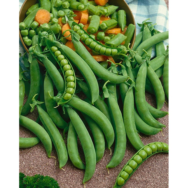 Organic Green Arrow Bush Peas Seeds