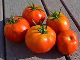 Heirloom Organic Box Car Willie Tomato Seeds