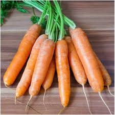 Rare Heirloom Organic Nantes Coreless Carrot Seeds