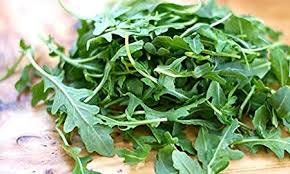 Heirloom Organic Rocket (Roquette) Select Arugula Seeds