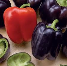 Organic Cardinal Sweet Pepper Seeds