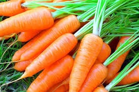 Heirloom Organic Short N Sweet Carrot Seeds