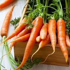 Heirloom Organic Tendersweet Carrot Seeds