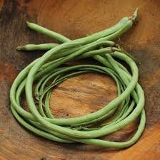 Heirloom Organic Yard Long Asparagus / Green Pod Red Seed Asparagus Bean Seeds