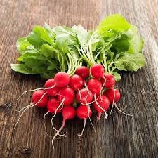 Heirloom Organic Cherry Belle Radish Seeds