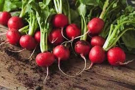 Heirloom Organic Cherry Belle Radish Seeds